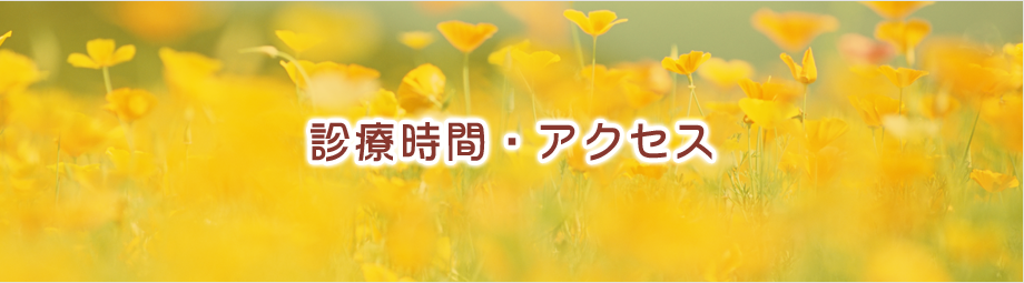 診療時間・アクセス