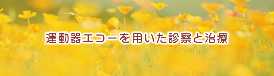 運動器エコーを用いた診察と治療
