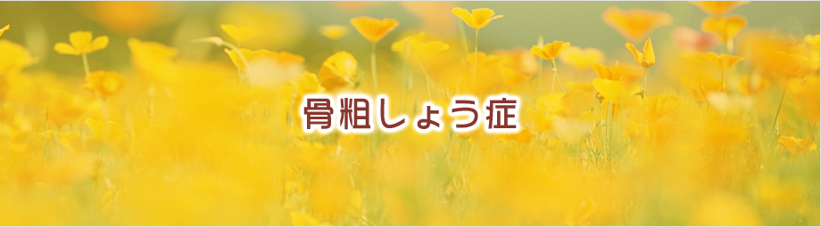 骨粗しょう症
