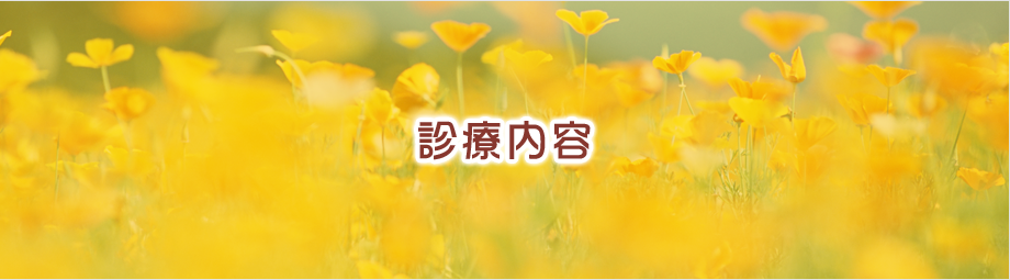診療内容