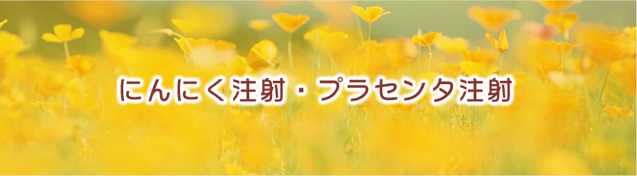にんにく注射・プラセンタ注射